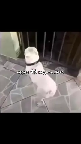 #лето#fyppppppppppppppppppppppp 