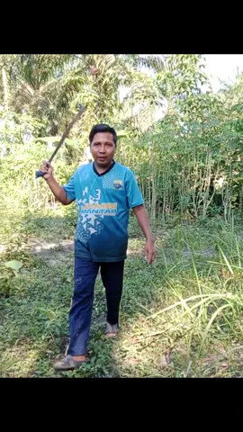 Jeckie ny bandel jadi harus dipakso 🤣🤣..  #lawakdusun  #komedidusun  #videongakak #vidiokomedilucu #videokomedi 