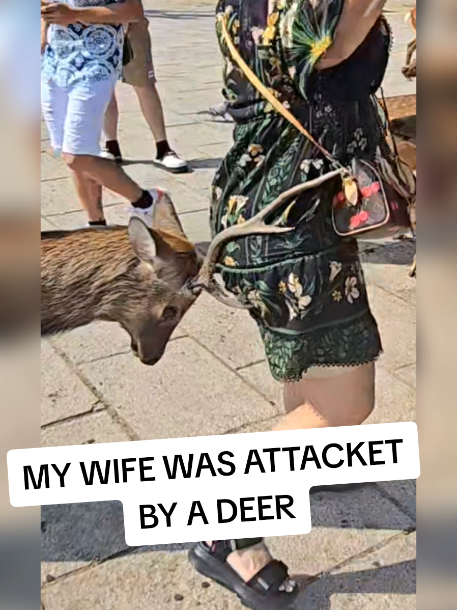 por poco y me la violan los venados #narapark #viral #viraltiktok #trending #japan 