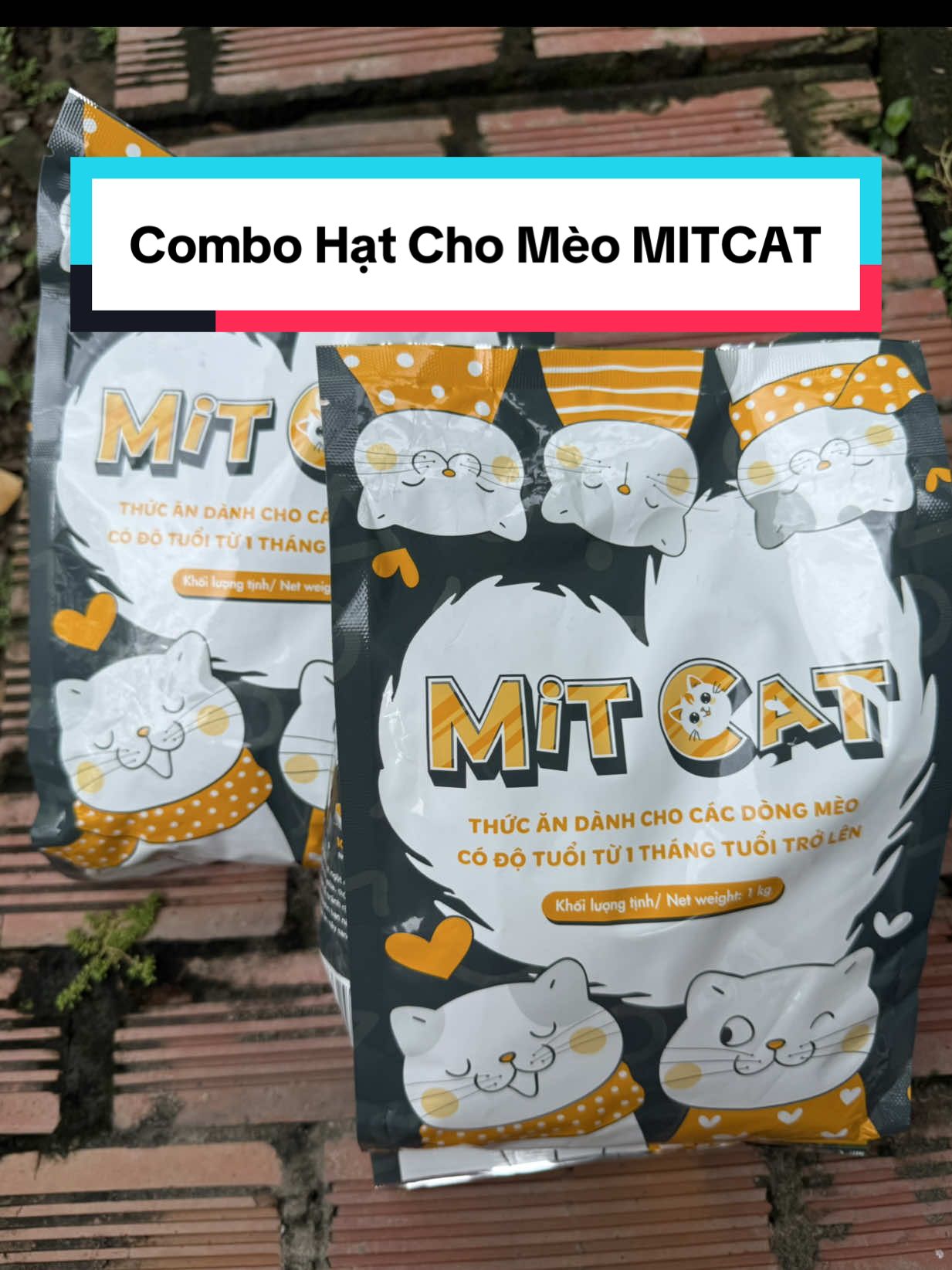 💥 Nhà nào nuôi mèo cũng nên có hạt Midget – công thức dinh dưỡng tiện lợi, độ đạm 30% giúp duy trì vóc dáng khỏe mạnh, bộ lông óng mượt và giảm rụng lông. Hạt có mùi cá ngừ thơm, dễ ăn, giúp bé mèo bổ sung đầy đủ dưỡng chất mỗi ngày mà không tốn nhiều thời gian chuẩn bị. #cutecat #hatchomeo #thucanchomeo #hatchomeogiare #hatchomeogiare  @Thiên Ý 🌻  @Thiên Ý 🌻  @Thiên Ý 🌻 