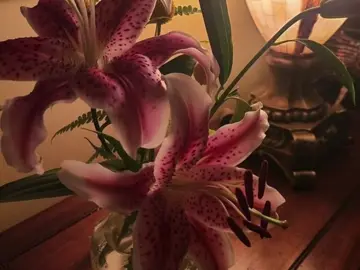 #lillies #flowers #aesthetic #taylorswift #fypシ゚viral 