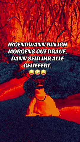 #M#Meme #itsfunny#goviral#fyp 🤣