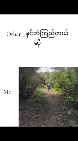 သိပ်ကိုဘဲကြည်တာပေါ့🤌🫩#fyppppppppppppppppppppppp #ချစ်စရာကောင်းတာတစ်ခုပြမယ်🥺🎀 