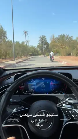 #مراكش #🇲🇦 #explore #الشعب_الصيني_ماله_حل😂😂 