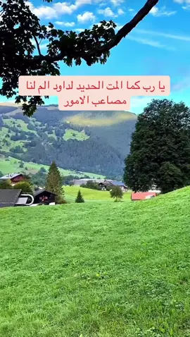 #اللهم_انك_عفو_تحب_العفو_فاعف_عنا #لايك_متابعه_اكسبلور_ #فضلاً_وليس_امراً_💙_🌹 #fyp #tiktok #L 