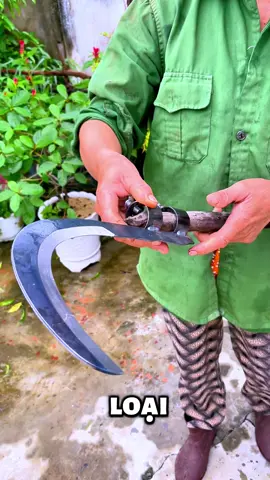 Liềm giật cành cây trên cao #liềm #liemgiatcanhcay #catcanhkhongcatminh #dungcunongnghiep #dungcutienich 