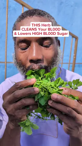 Day 1, Eating Cerssee Morning Routine  #CeraseeHerb #NaturalBloodCleanser #LowerBloodSugarNaturally #HerbalRemedy #JamaicanHerbs
