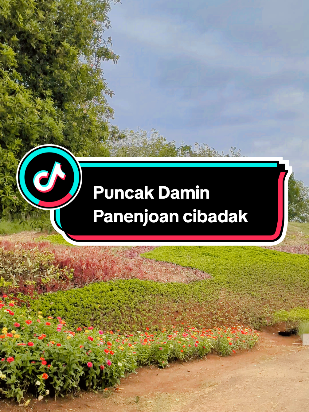 Saha NU TOS kadieu?! coba absen? #panoramasukabumi #cibadak #damin #cibadak #panenjoan 