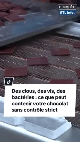 🍫 Clous, salmonelle, listeria… ➡️ Dans cette chocolaterie belge, chaque fève est contrôlée avant même d’entrer en cuisine ⚠️ Une erreur = tout s’effondre 😳 #Chocolat #SécuritéAlimentaire #Afsca #Bactéries #MadeInBelgium   