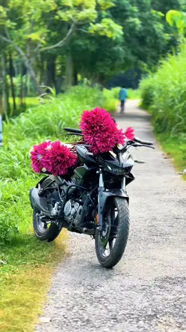 Black Panther😍 #bike #trending #flowers #heroxtreme125r 