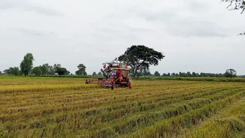 មួយៗ😅🌾