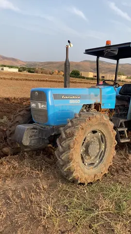 #agriculture #tunisia🇹🇳 #مشالله_تبارك_الله 
