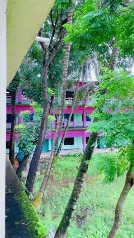 #campus🏢🥰  #anowara_government_college  #foryou #tending #hastag 