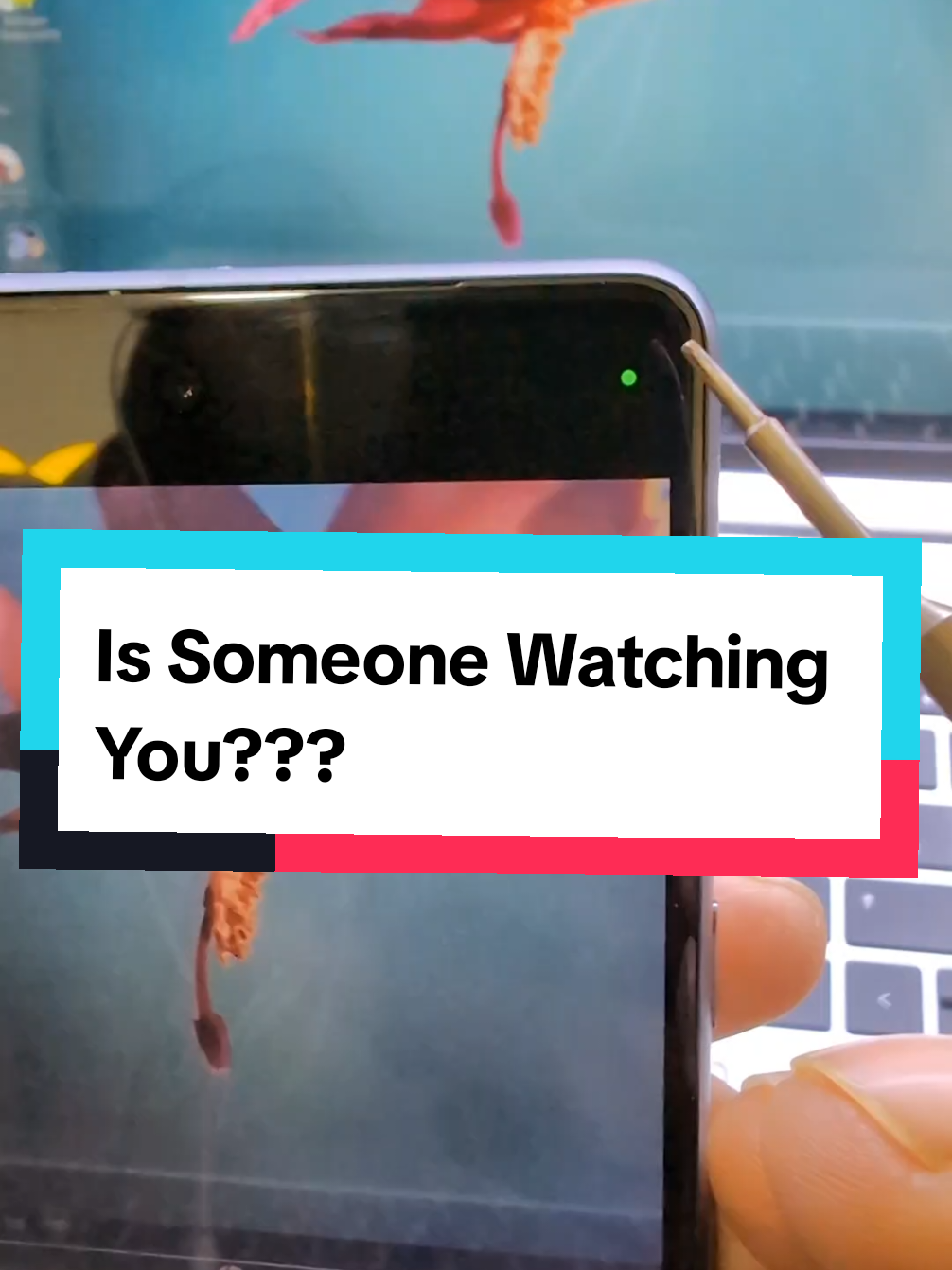 Is Someone Watching You???? #camera #settings #privacy #samsung #LearnOnTikTok 