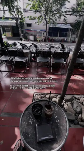 #dream5482 #daixuanluong 
