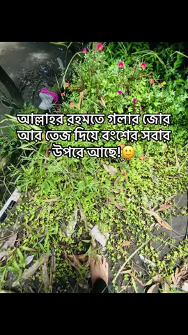 🥲🌚#foryoupage #fypシ゚viral #bdtiktokofficial🇧🇩 #foryou #unfrezzmyaccount @For You @TikTok Bangladesh 
