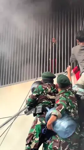 Jaya selalu TNI #demo #TNI #fyp #viral 