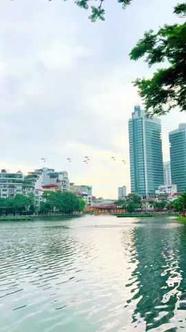 Hào khí trời Nam ta rạng ngời sắt son Việt Nam  🇻🇳🇻🇳🇻🇳 Màn trình diễn máy bay trên không mãn nhãn A80 🇻🇳🇻🇳🇻🇳 #A80 #vietnamtoiyeu #tuhaovietnam #quockhanh #dieubinh 