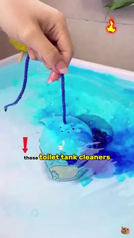 Toilet cleaning bottle - No more cleaning the toilet with your hands! Love it #toilebowlcleanerhack#detergent#TikTok#TikTokshop#toilet