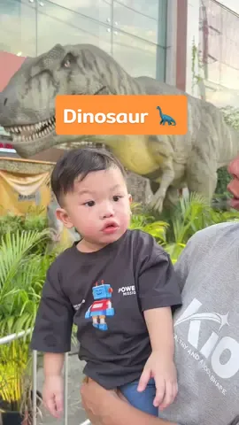 เด็กๆ บ้านเราชอบไดโนเสาร์มากค่า 🥰🦖🐢🦕 #โอเปร่า  #คิริว #ภิสิงห์  #family @โจน่าทาน 