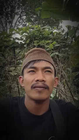 cicing lain saukur cicing tapi di pake mikir #CEP_GHOZIN #katakatabijak #katakatacinta #katakataromantis #motivasihidup 