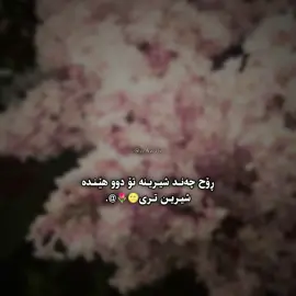 🌝♥️, #foryou #foryoupage #fyppppppppppppppppppppppp #aflppppppppppppppppppppppppp 