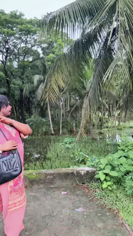 হাসিব 