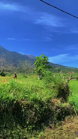 Lasi Canduang sekitarnya #vibes #raunsabalik #lasi #canduang #laguminang 