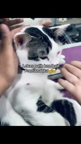 ☹️☹️☹️#xyzbca #fyppppppppppppppppppppppp #fypシ゚viral #pontianakviral 
