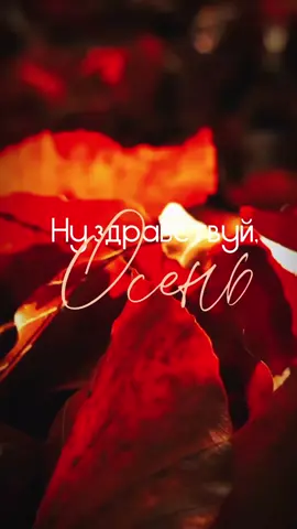 #репостни🔥  #осеньнапороге  #приветосень #top 