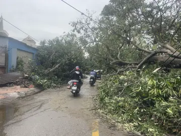 TP Vinh sau cơn bão😓