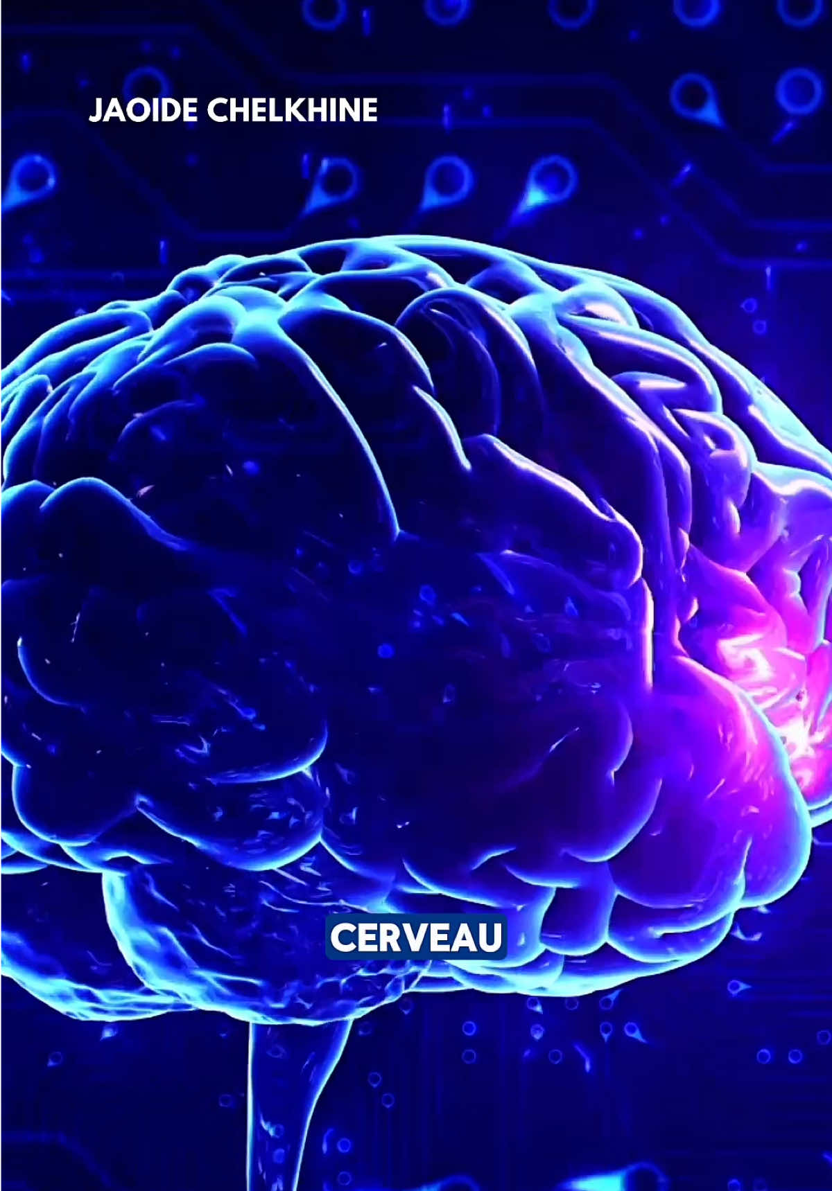 Tu veux savoir pourquoi tu retombes toujours dans les mêmes schémas ? Ce n’est pas parce que tu n’as pas compris la leçon. C’est parce que ton cerveau a enregistré l’ancien scénario comme une norme. Les neurosciences le prouvent : ton système limbique stocke les mémoires émotionnelles beaucoup plus vite que ton cortex préfrontal ne peut les analyser. Résultat : tu sais consciemment que tu devrais changer… mais ton inconscient, lui, te ramène toujours vers ce qui est familier, même si ça te détruit. C’est pour ça que tu répètes les mêmes erreurs en affaires, dans tes relations, ou dans ta gestion émotionnelle. Pas parce que tu veux souffrir, mais parce que ton identité est encore alignée avec l’ancien modèle. La vraie transformation ne consiste pas à « comprendre avec ta tête ». Elle consiste à reprogrammer ton système nerveux pour que ce qui est sain, puissant et aligné devienne ton nouveau familier. Parce qu’au fond, tu ne crées jamais la vie que tu veux. Tu crées toujours la vie qui correspond à qui tu crois être.