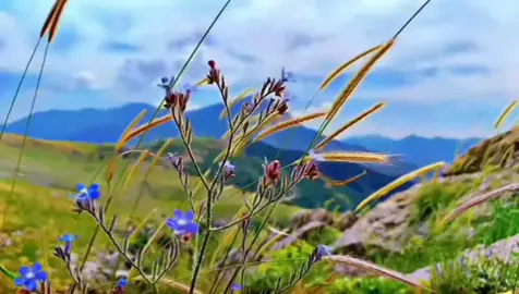 #keşfet #❤️ 