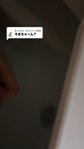 @まいちゃむ。に返信 深夜テンションって怖い #ilife #三度の飯よりりりが好き #会いにkite 