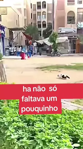 #anosatrás 
