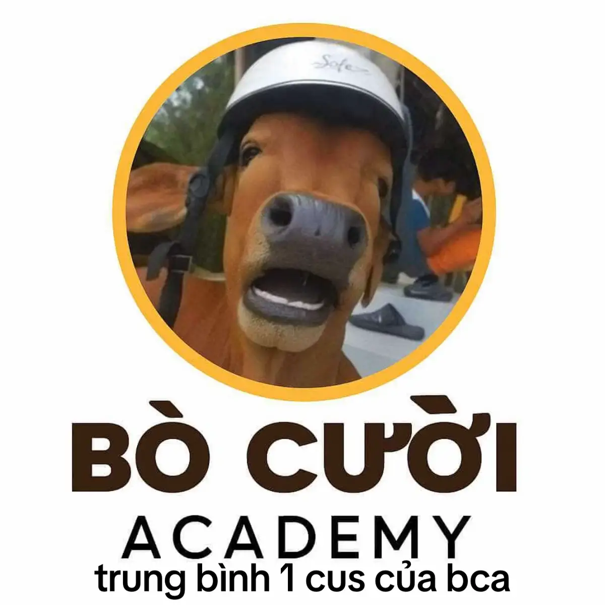 cus cuối hè cùng @👑 @BC  GHuyxMVP @BoCuoi Esports 