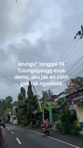 #demodpr #tulungagung #fyp 