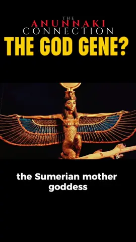 Egyptian Gods and the Anunnaki  #anunnaki #atlantis #mu #egpyt #lostcivilizations #losthistory #hiddenhistory #mysterytok