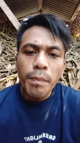 info omae DPR sahroni#demo #dpr #wehkweloolo #fypシ゚viral 