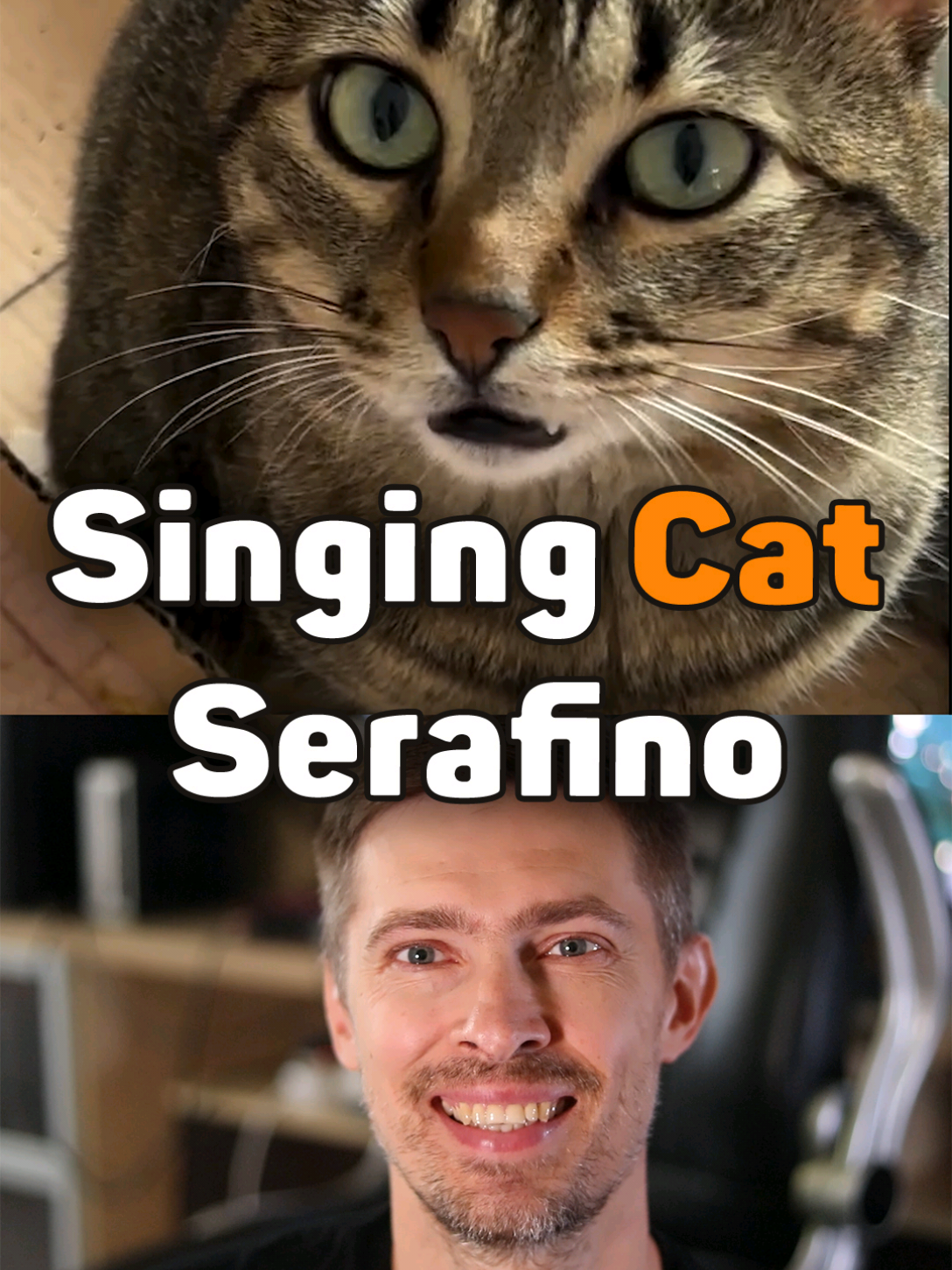 Singing Cat @Mister Serafino Rock Guitar Cover #guitartok #foru #guitarplayer #misterserafino #cat #catlover #instacat #guitar #guitarcover #rockguitar 