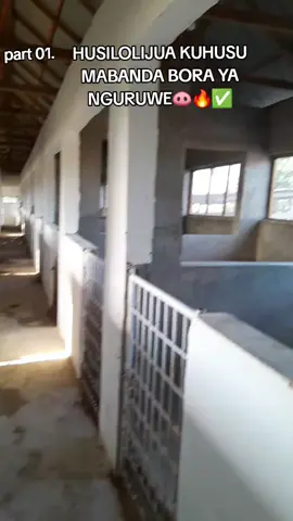 leo tena kazinja.farm, tujifunze kuhusu mabanda bora ya nguruwe kwa matokeo chanya, mabanda ya nguruwe yana nafasi kubwa katika maisha ya nguruwe na ata pia katika swala zima la malezi kwa watoto wake (vimbwangala), kuwa nasi katika onyesho linalofuata uweze kujua ni mambo yapi ya kuzingatia wakati wa utayarishaji wa mabanda ya nguruwe🐽✨️ #pigfarming #fyp #animal #viral  #ASF  @Victor Kazinja ✅️