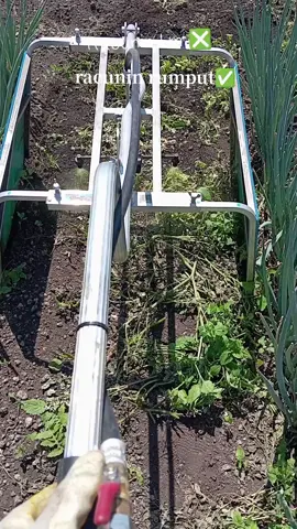 proses mematikan rumput liar #kulijepang🇮🇩🇯🇵  #tiktokviral  #storytime  #smuaorang  #tiktokviral 