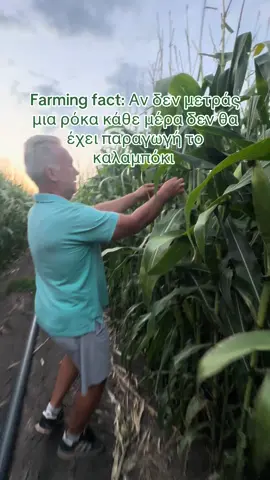 #farmingfact #farmgirl #farmlife #corn #Summer #fy #fyp #farmer @Tzonmpak 