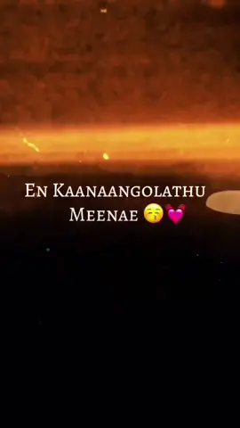 na kanakolthu meenu 💞📌✨️