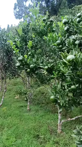 k một ngày nghỉ luôn