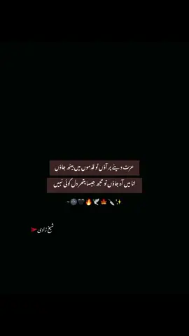 follow my scc account@حفضہ🚩 #trending #foryoupageofficiall #unfrezzmyaccount #dontunderreviewmyvideo #poetry 