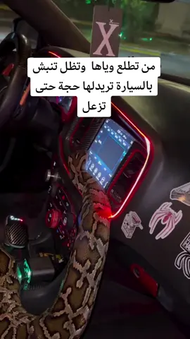#ابو_عبيس #الكلية_العسكرية 