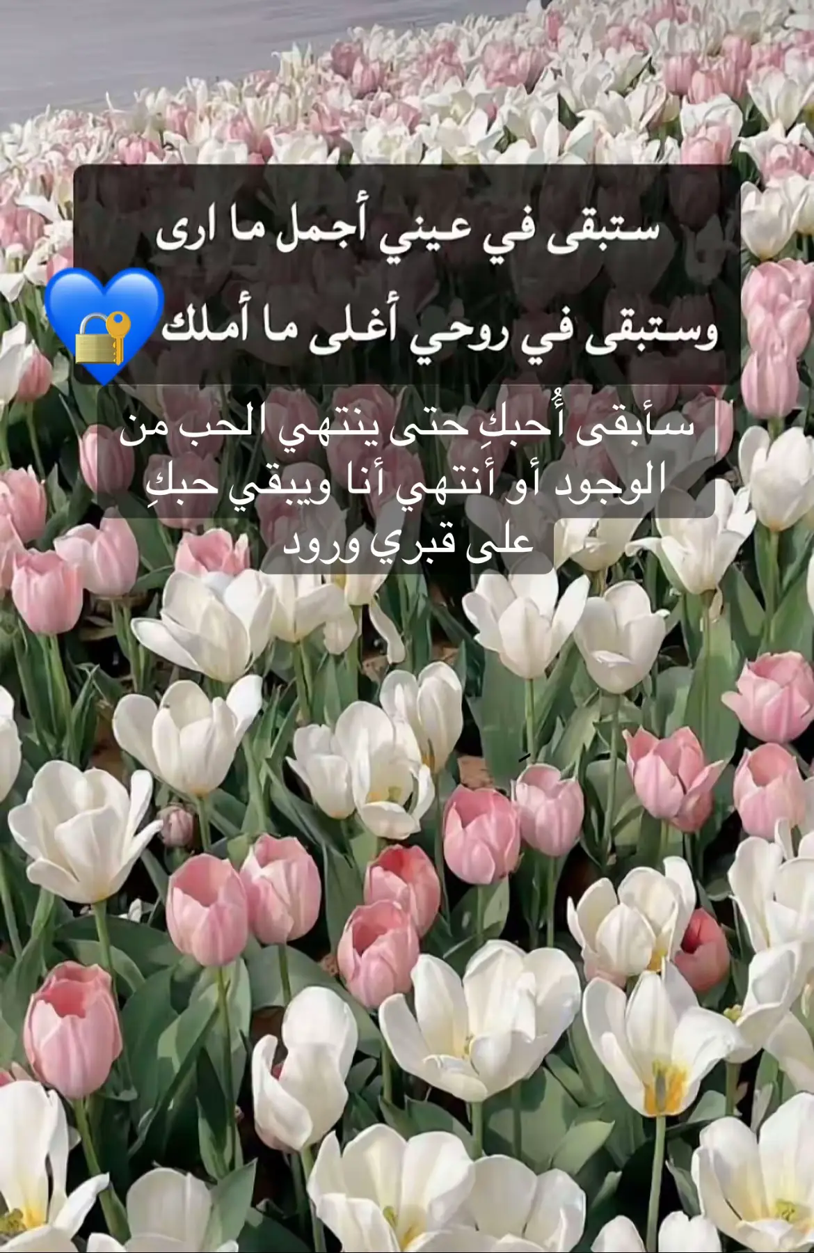 #foryou #fyp #fypシ #foryoupage #tiktok 