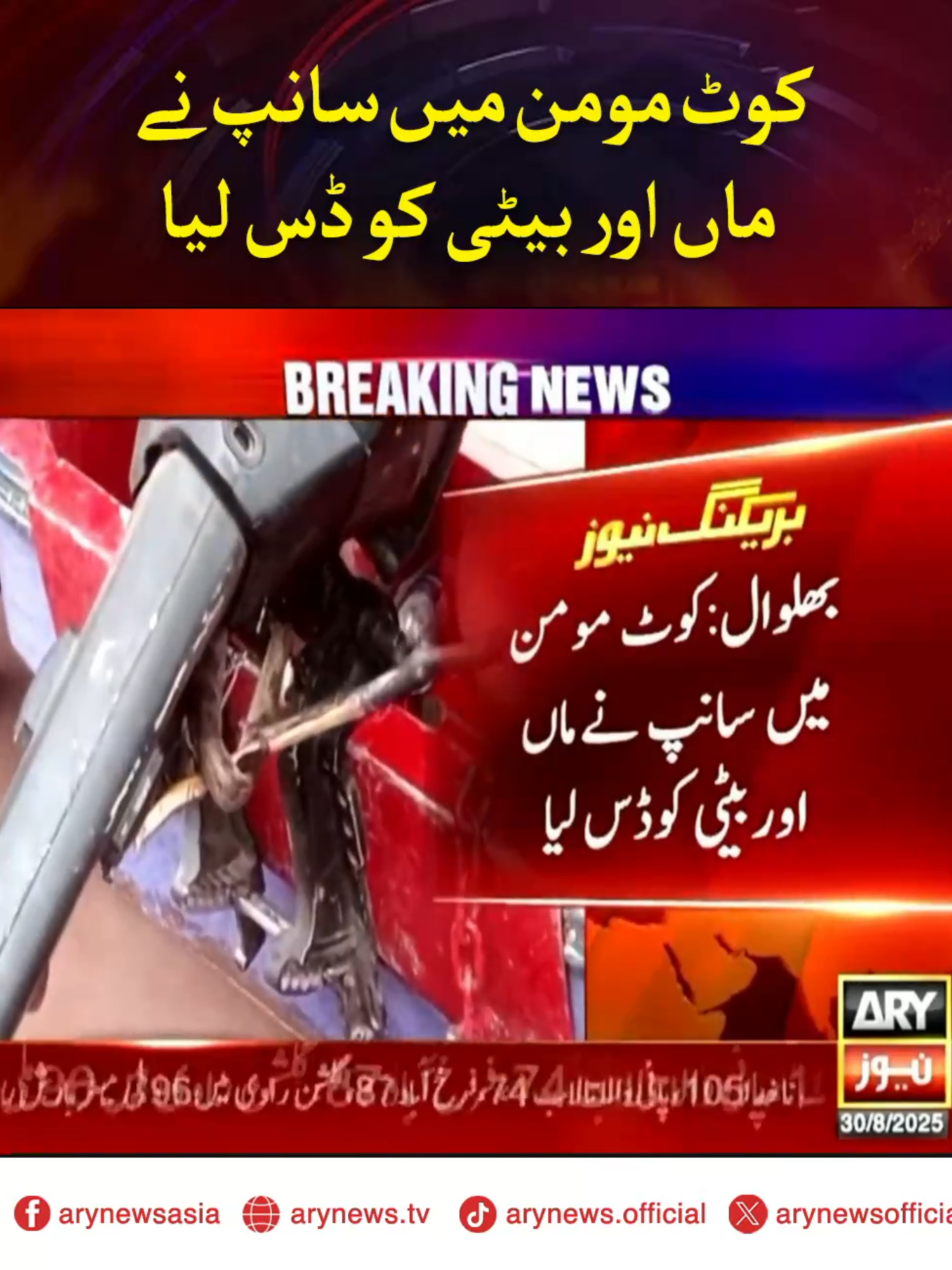 کوٹ مومن میں سانپ نے ماں اور بیٹی کو ڈس لیا #ARYNews