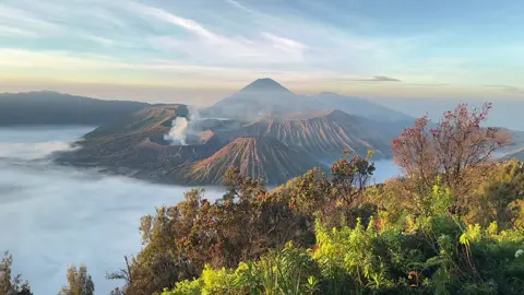 Bromo 30 agustus sangat istimewa dengan lautan awannya #bromotenggersemeru #bromotenggersemeru #opentripbromo #privattripbromotumpaksewu #malang 